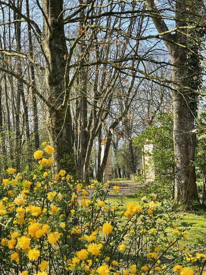Domaine De Fresnoy Bed & Breakfast Loison-sur-Créquoise Екстериор снимка