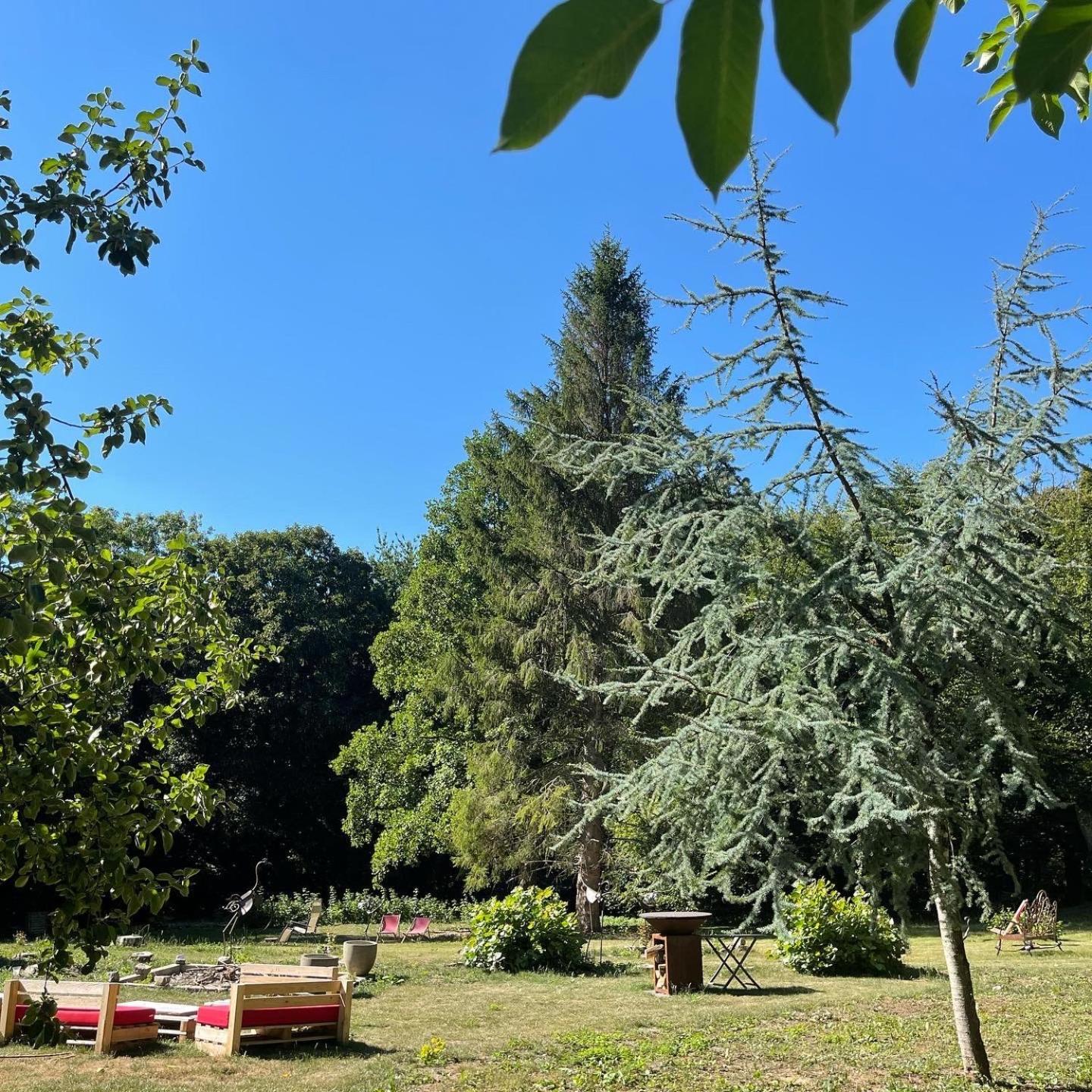 Domaine De Fresnoy Bed & Breakfast Loison-sur-Créquoise Екстериор снимка