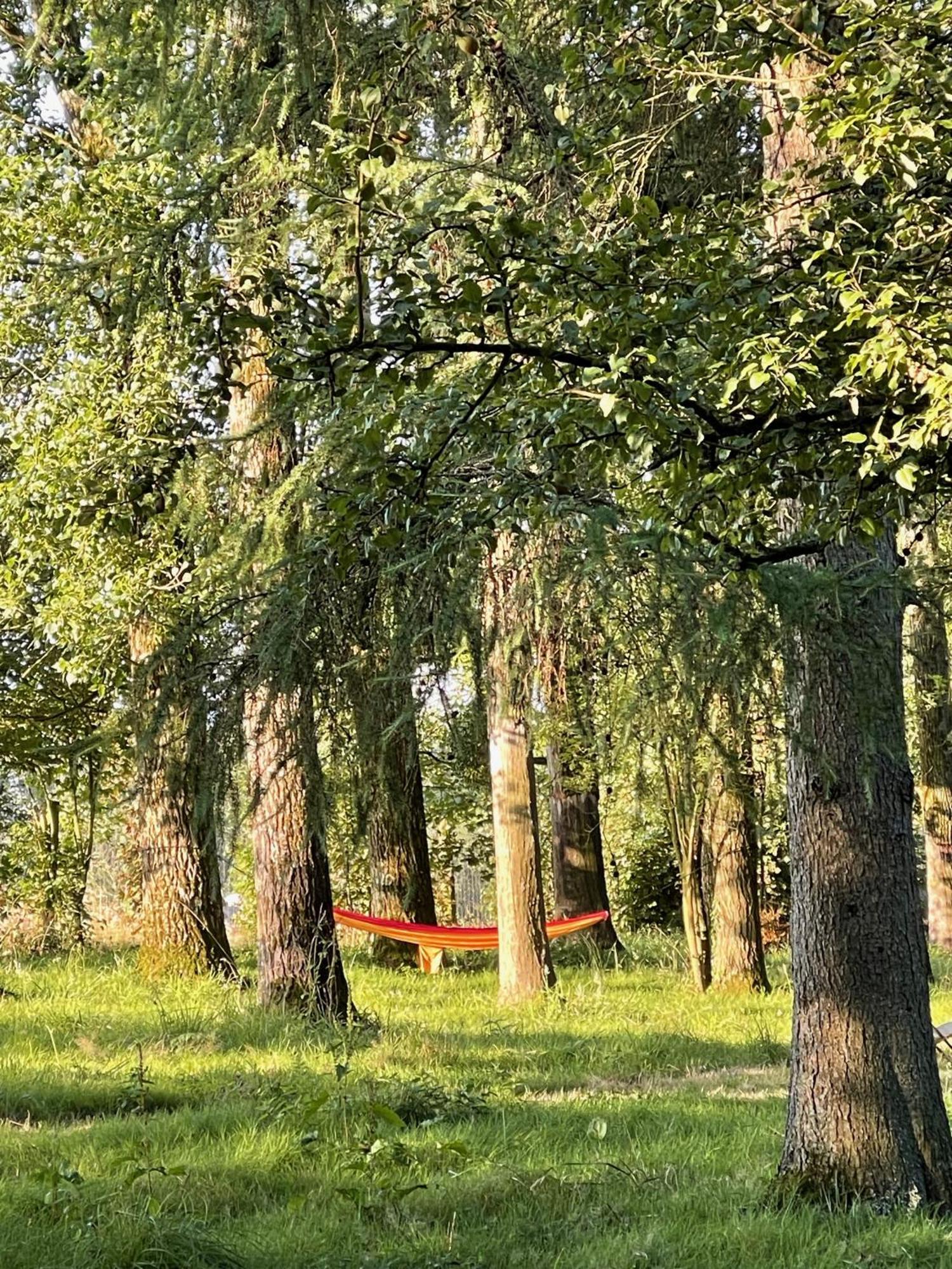 Domaine De Fresnoy Bed & Breakfast Loison-sur-Créquoise Екстериор снимка