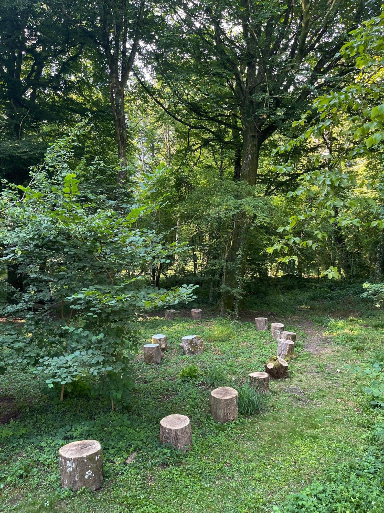 Domaine De Fresnoy Bed & Breakfast Loison-sur-Créquoise Екстериор снимка